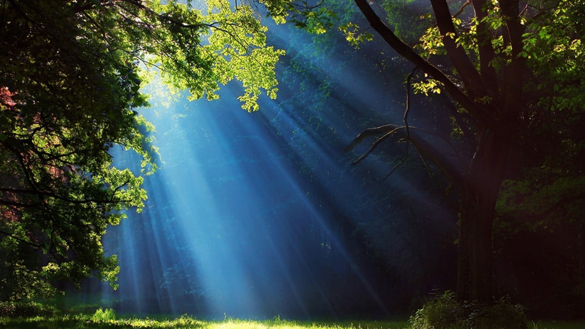 صبر کن، خدا بهترینو برات کنار گذاشته