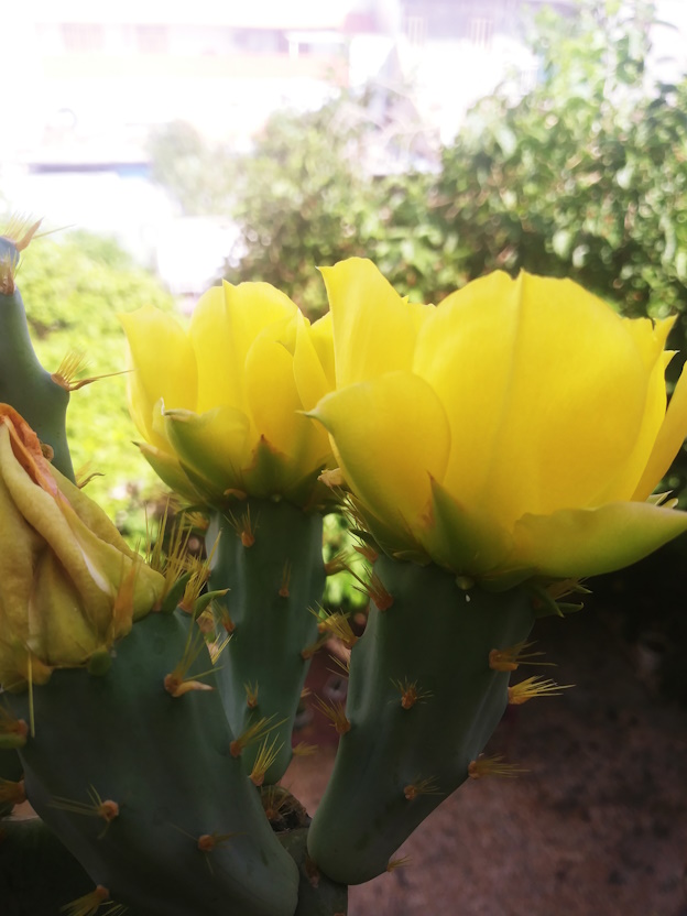 اهل اسراف و کسانی که ایات قران رو نمی ببین، در جهنم سقوط میکن! و در انجام کور و فراموش میشون!