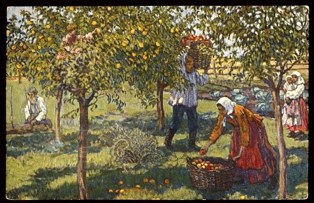 داستان گروهی که یواشکی میخواستن،خیر خوبی به ادم های فقیر رو قطع کنند!