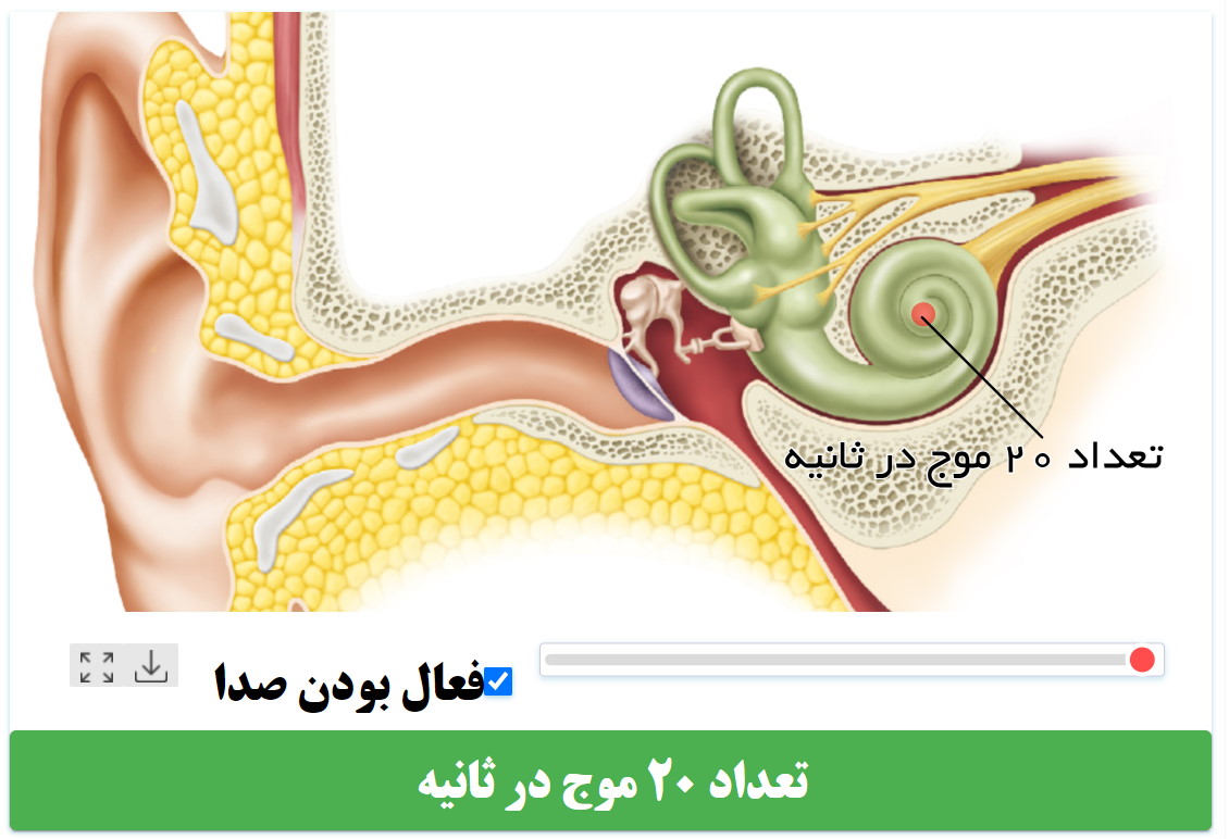 گوش تا چیز میزان(فرکانس) صدا را می تواند بشنود؟!(+شبیه ساز حلزونی گوش)